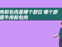 牛肉和包肉是哪个部位 哪个部位是牛肉和包肉