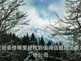 龙岗装修哪里好,龙岗好的装修公司推荐 