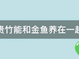 富贵竹能和金鱼养在一起吗 