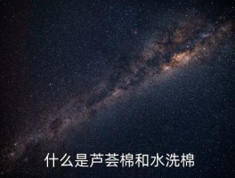 芦荟棉和水洗棉哪个好,芦荟棉与水洗棉：哪个更好？ 