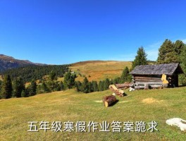 五年级上册语文寒假作业答案，五年级寒假作业答案跪求 