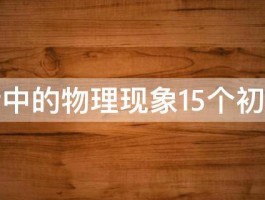 生活中的物理现象15个初二的 