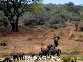 伟新地暖管怎么样,伟新地暖管优缺点分析：暖气效果如何？ 