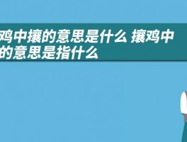 攘鸡中攘的意思是什么 攘鸡中攘的意思是指什么