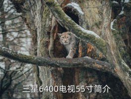 三星6400电视55寸怎么样,三星6400电视55寸评测：画质细腻，音效动人 