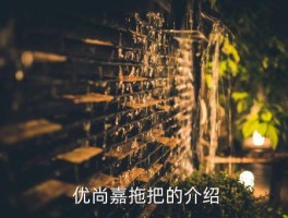 优尚嘉拖把怎么样,优尚嘉拖把使用效果如何？ 