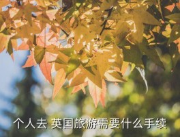 中国护照英国旅行签证要求 