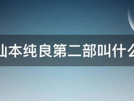 仙本纯良第二部叫什么 