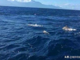 世界之最——河湖、海洋 