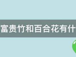 家里放富贵竹和百合花有什么意思 