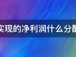 企业实现的净利润什么分配顺序 