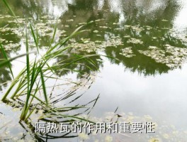 上饶哪里有树脂隔热瓦,上饶哪里能买到隔热瓦？ 