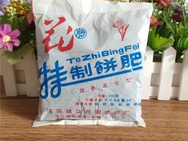 种姜时用芝麻饼做基肥可以吗(正宗大姜一次性全控肥料种植基地)