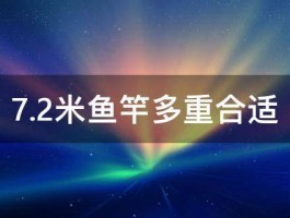 7.2米鱼竿多重合适 