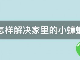 怎样解决家里的小蟑螂 