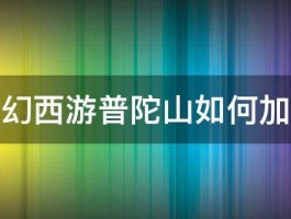 梦幻西游普陀山如何加点 