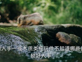 木手把件玩什么好，想入手一些木质类把玩件不知道哪些比较好入手 