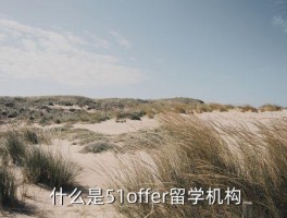 51offer留学,51offer留学机构：助你飞向世界名校 