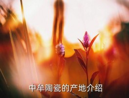 中牟陶瓷再哪里,牟陶瓷生产地在哪里？ 