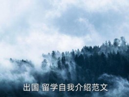 出国留学个人英文简历作文,英文简历作文的个人信息怎么写 