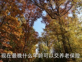 女性最晚交社保的年龄，现在最晚什么年龄可以交养老保险 