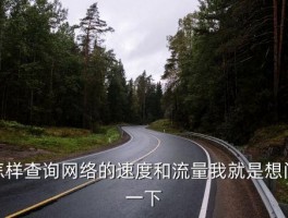 网络查询，怎样查询网络的速度和流量我就是想问一下 