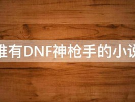 谁有DNF神枪手的小说 