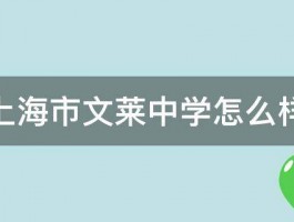 上海市文莱中学怎么样 