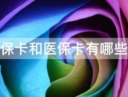 社保卡和医保卡有哪些区 