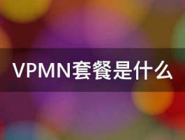 VPMN套餐是什么 