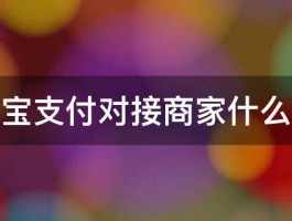 支付宝支付对接商家什么意思 