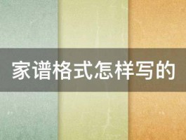 家谱格式怎样写的 