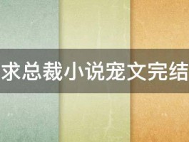 求总裁小说宠文完结 