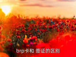 国内英国签证办理是否收旧的BRP卡,在读国内学生如何办理英国签证 