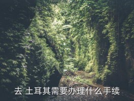 英国飞土耳其看签证吗,香港飞土耳其需要签证吗 