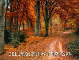 戴尔电脑开不了机怎么办，DELL笔记本开不了机怎么办 