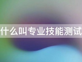 什么叫专业技能测试 