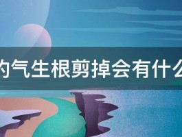 绿萝的气生根剪掉会有什么后果 