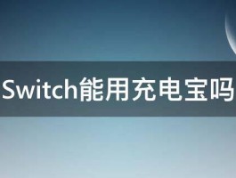 Switch能用充电宝吗 