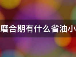 新车磨合期有什么省油小技巧 