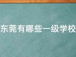 东莞有哪些一级学校 