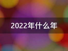 2022年什么年 