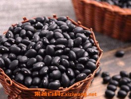 黑豆怎么吃黑发 黑豆怎么吃对白发好_黑豆_做法,功效与作用,营养价值