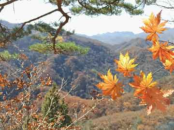 2013年1月26日老黄历查询,2013年1月26日万年历黄道吉日 